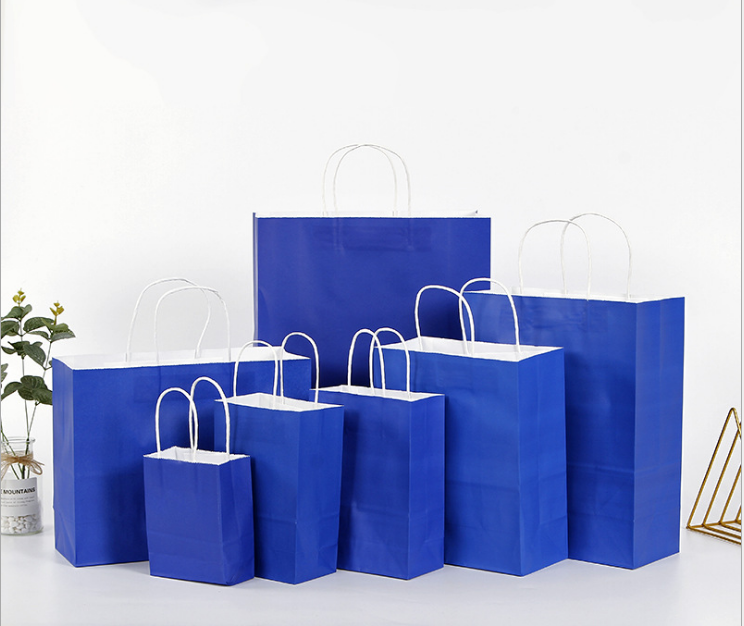 Recyclable Colorful Gift Shopping Paper Bag With Ribbon Handles